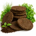 Cow dung cakes (Upla / Kande)